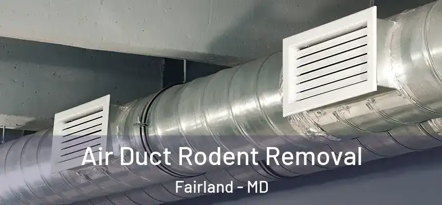 Air Duct Rodent Removal Fairland - MD