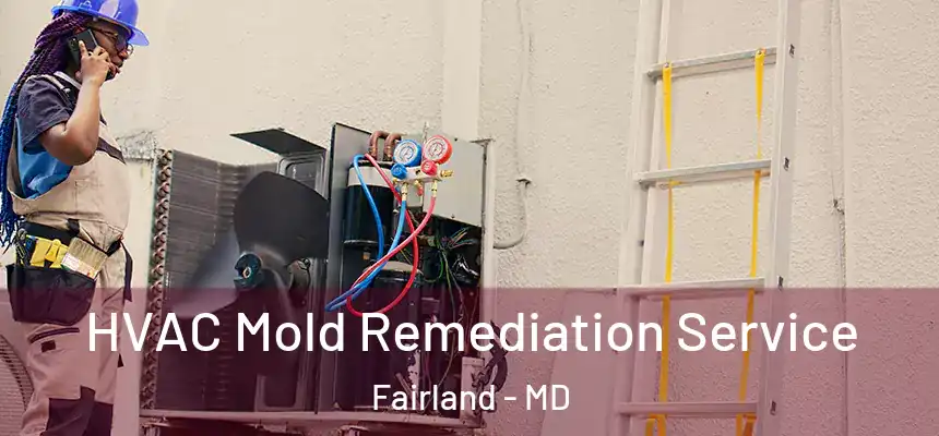  HVAC Mold Remediation Service Fairland - MD