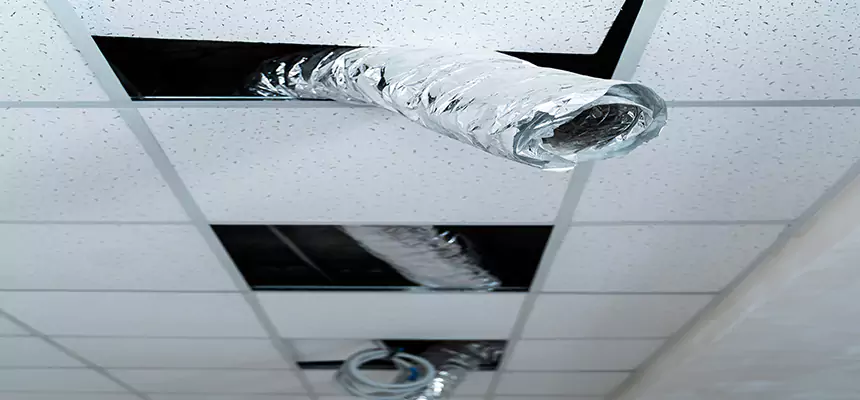 Our Air Duct Pet Hair Removal Services in Fairland, MD