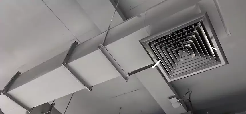 Our Pest Removal From Ducts Services in Fairland, MD