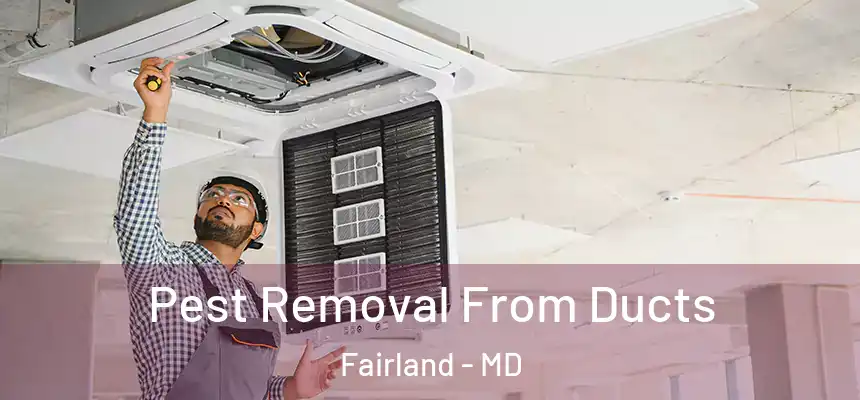 Pest Removal From Ducts Fairland - MD