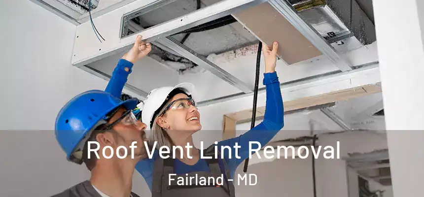  Roof Vent Lint Removal Fairland - MD