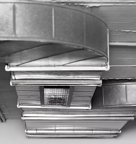 Professional Air Duct Pet Hair Removal in Fairland, MD