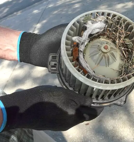 About Air Duct Rat Removal in Fairland, MD