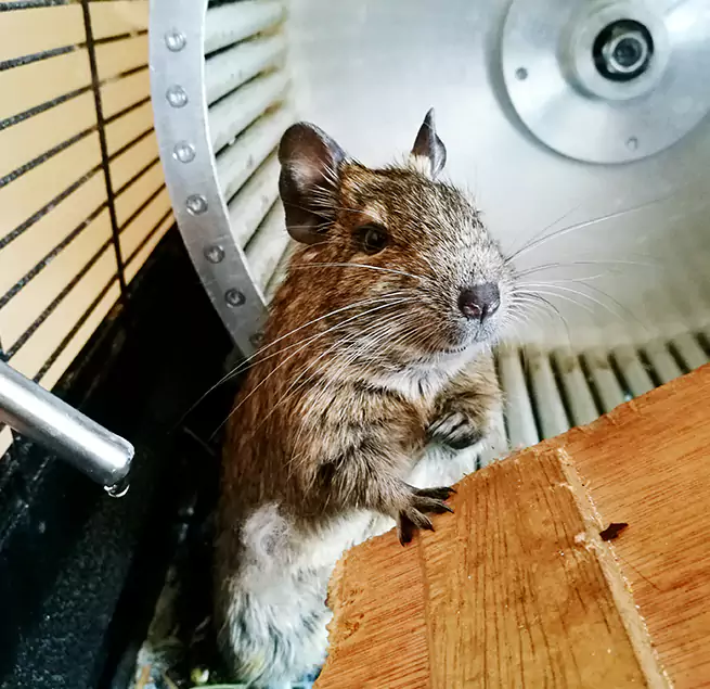 Why Homeowners & Businesses Trust Us Fairland, MD